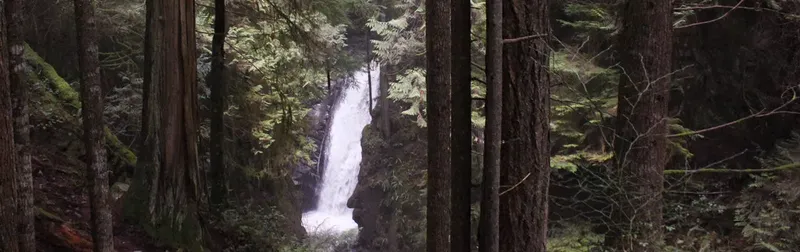 Cypress Falls Park