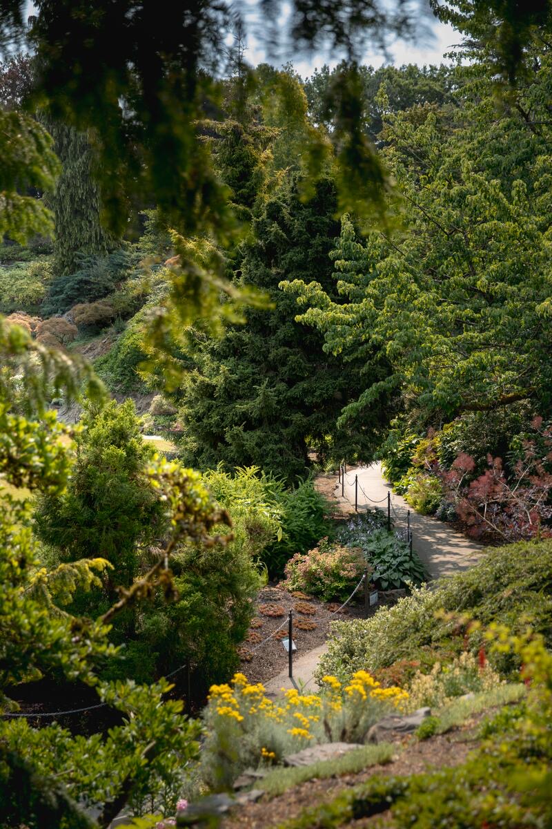 Queen Elizabeth Park