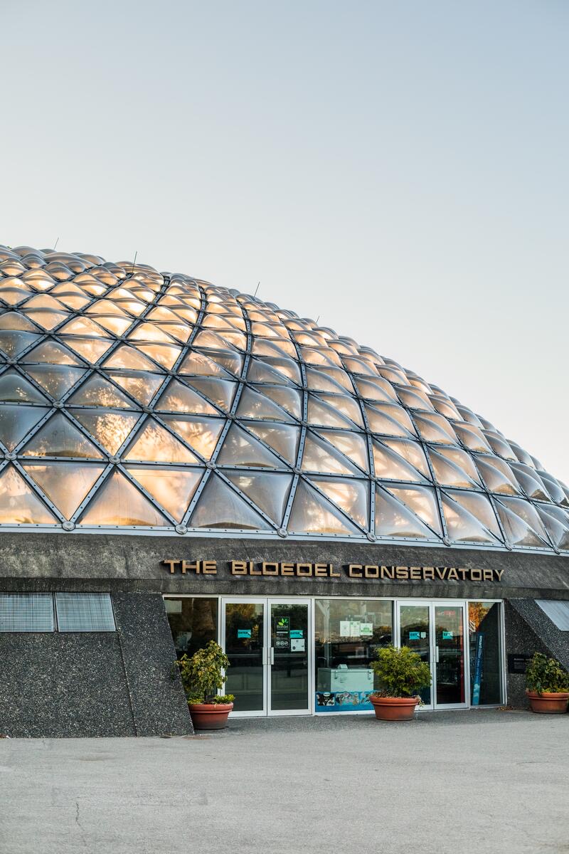 Queen Elizabeth Park