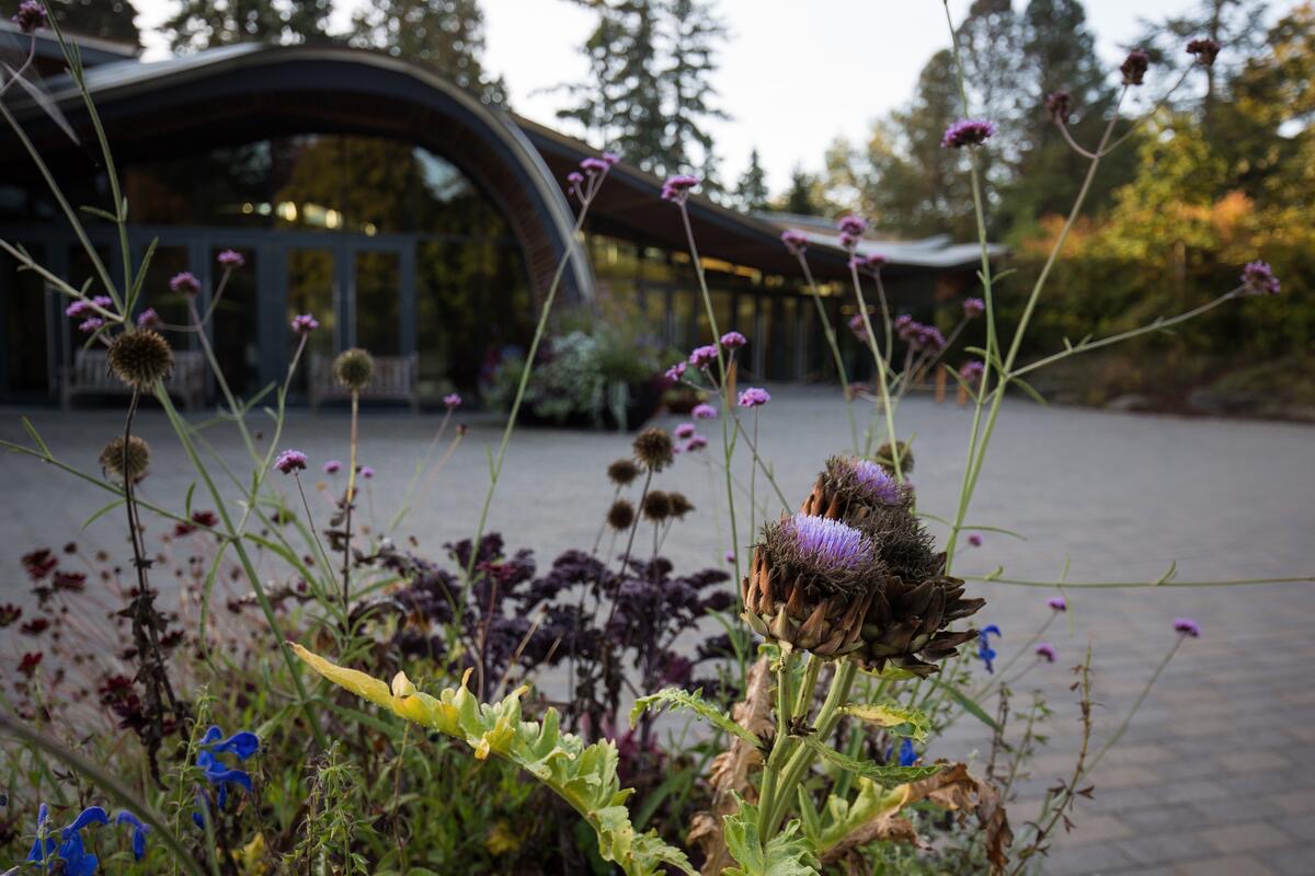 VanDusen Botanical Garden