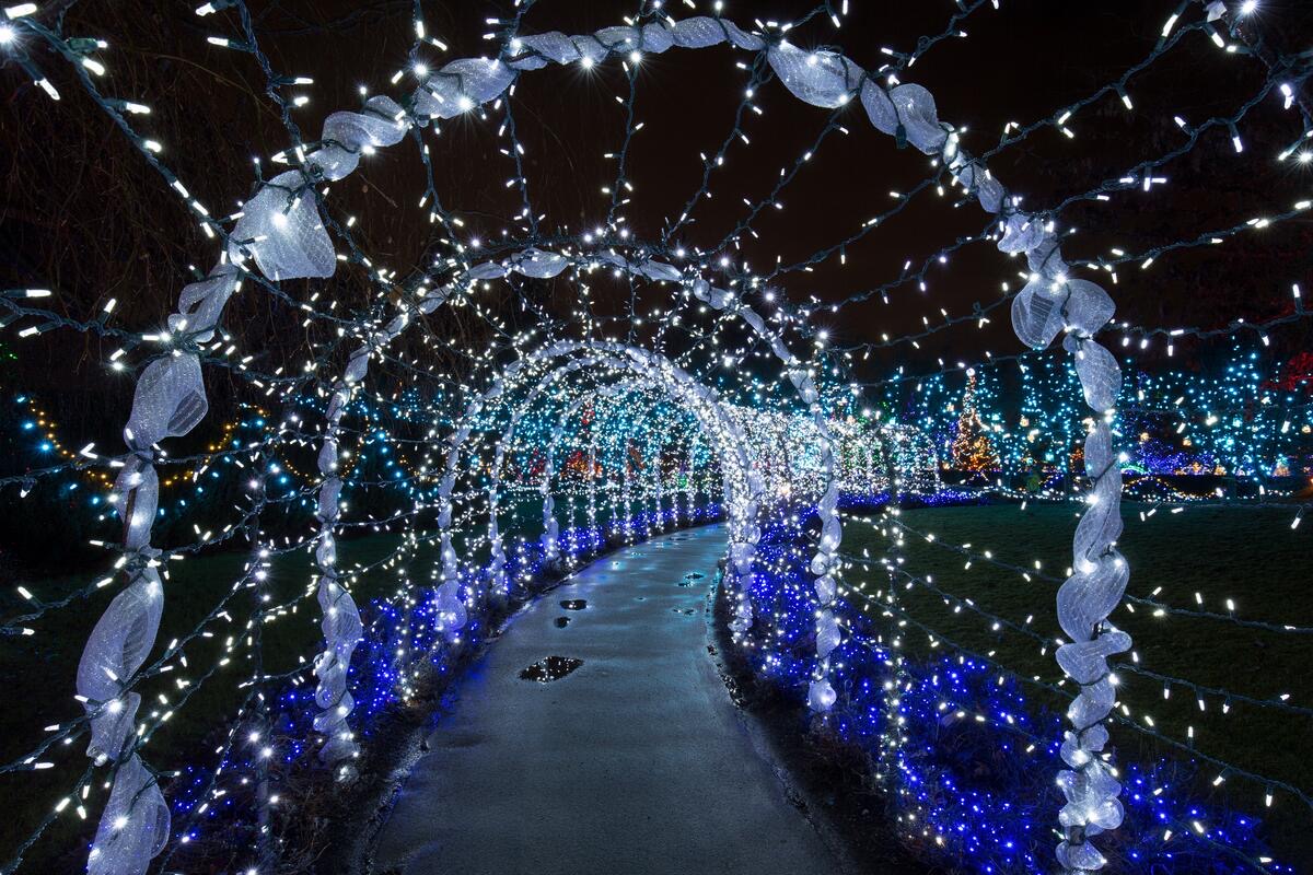 VanDusen Botanical Garden
