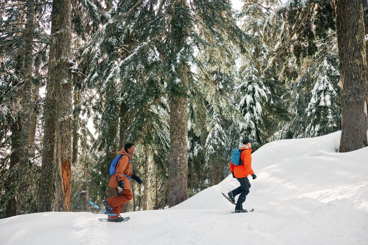 Grouse Mountain