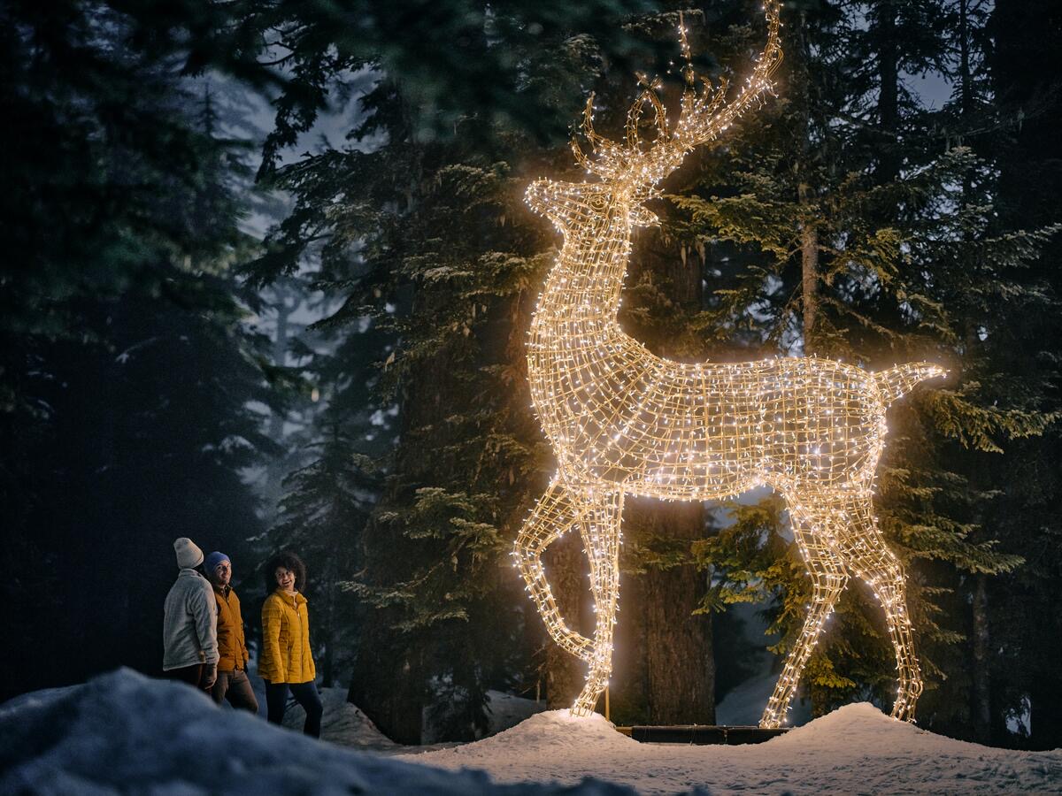 Grouse Mountain