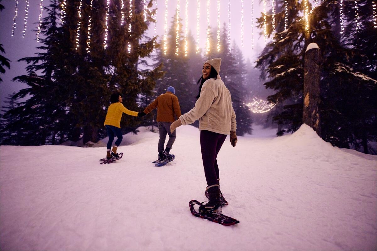 Grouse Mountain