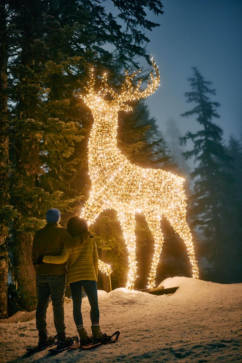 Grouse Mountain