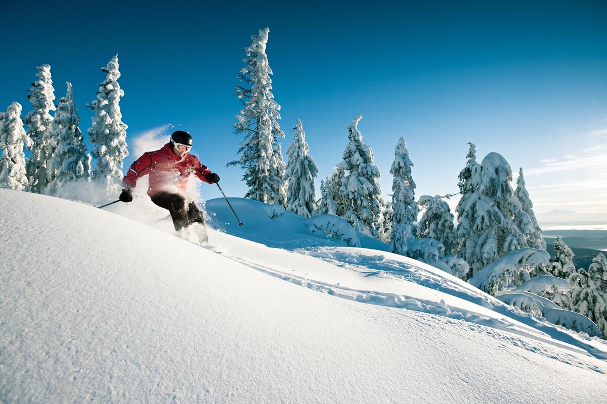Grouse Mountain