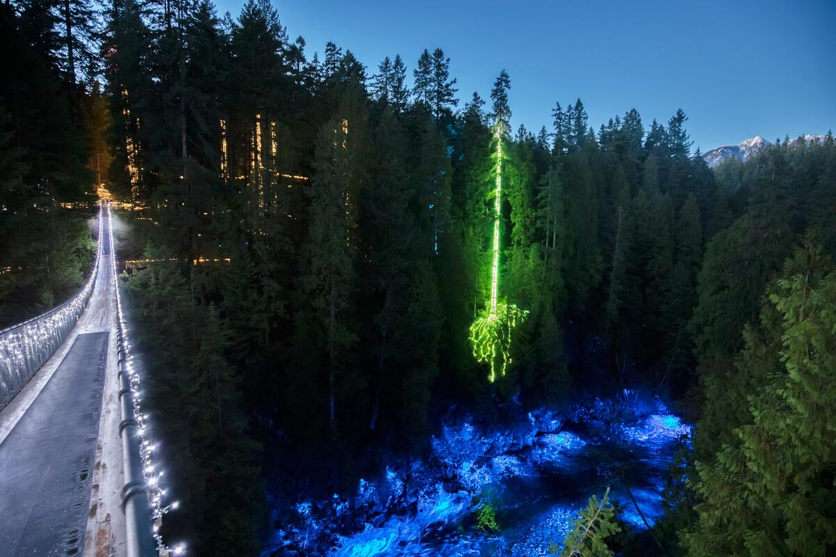 Capilano Suspension Bridge Park
