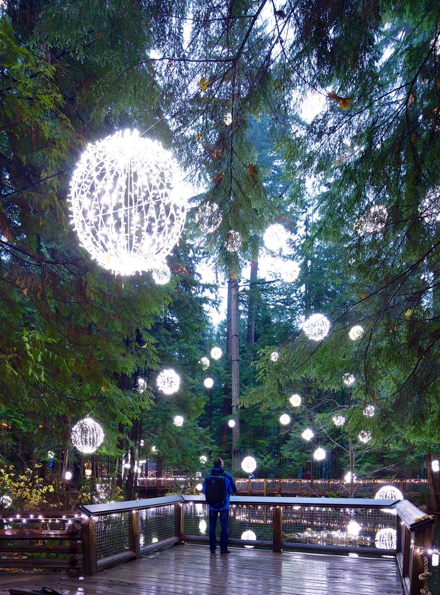 Capilano Suspension Bridge Park