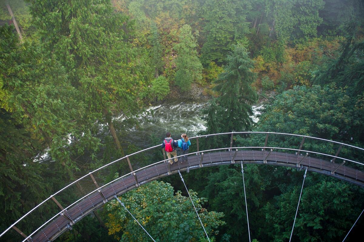 Capilano Suspension Bridge Park