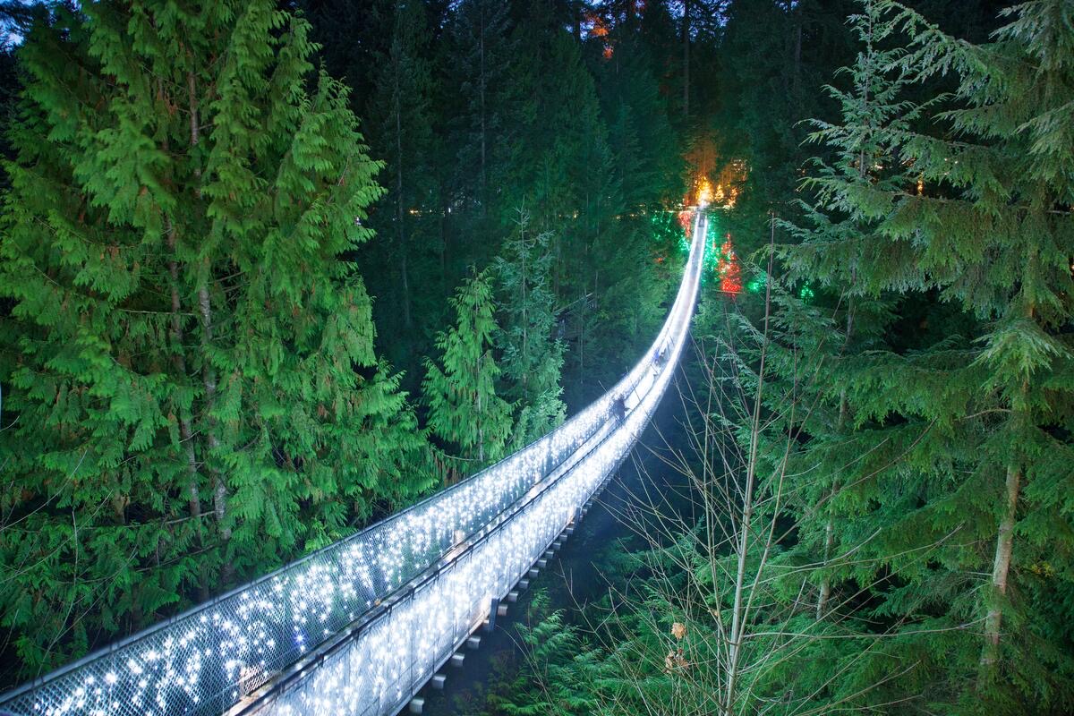 Capilano Suspension Bridge Park