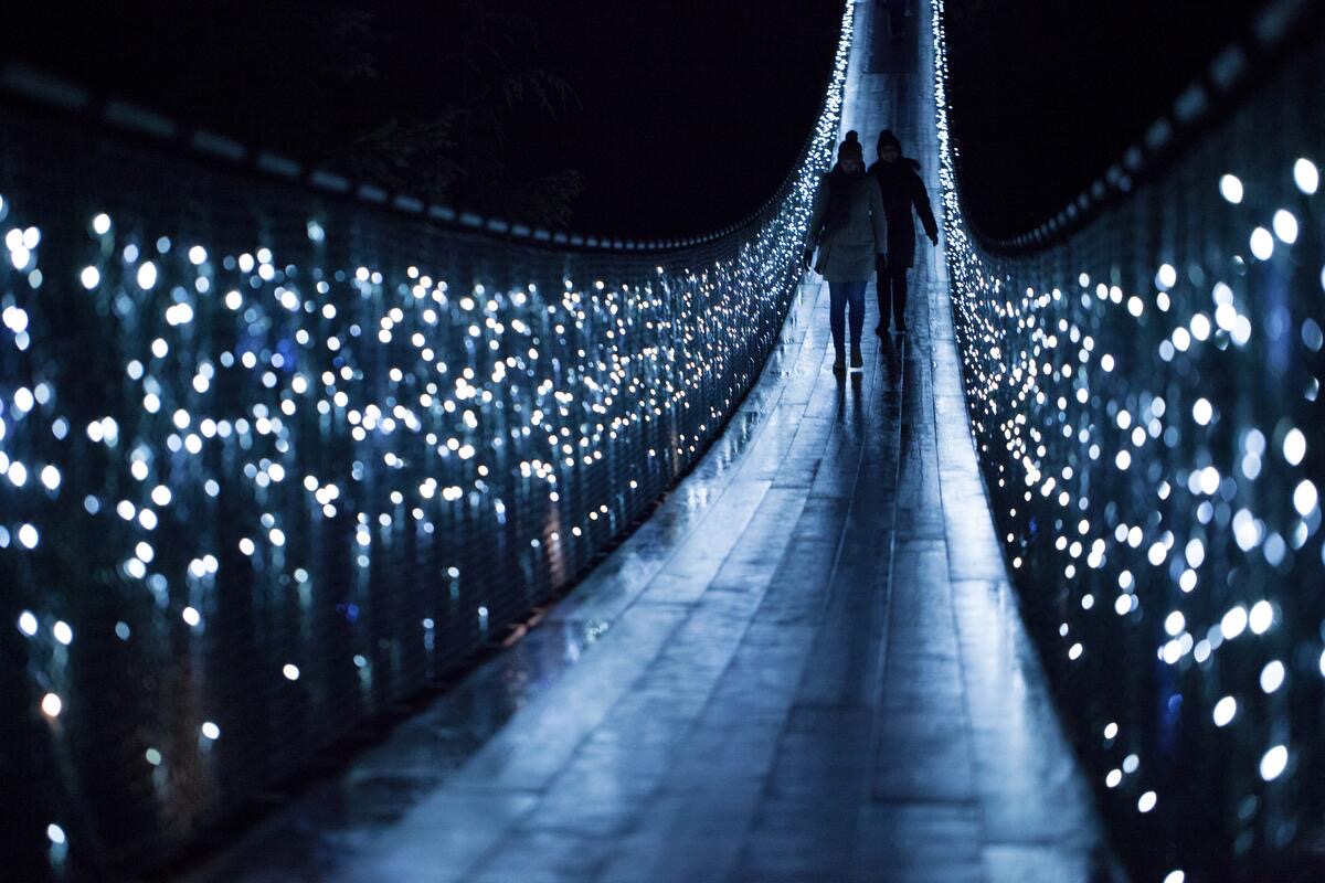 Capilano Suspension Bridge Park