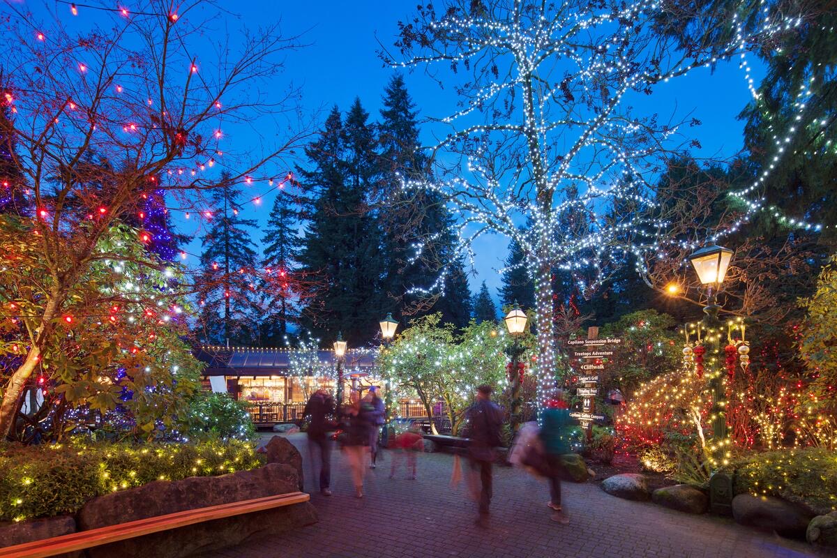 Capilano Suspension Bridge Park