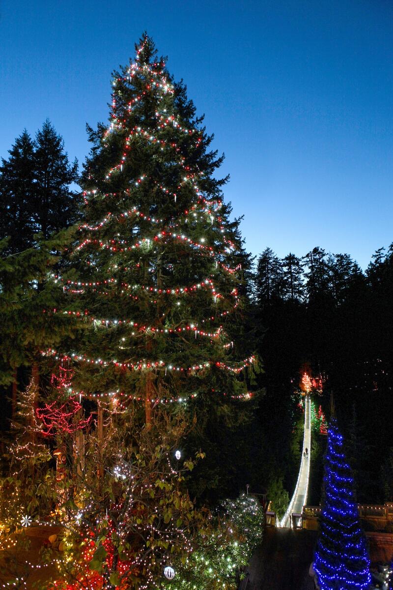 Capilano Suspension Bridge Park