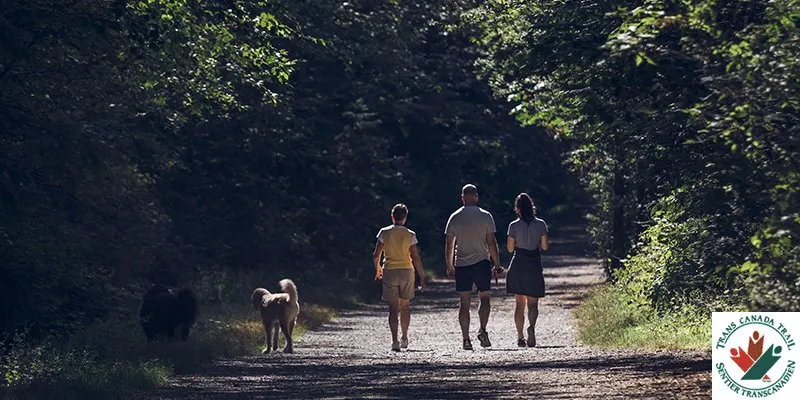 Shoreline Trail