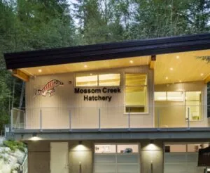 Mossom Creek Hatchery