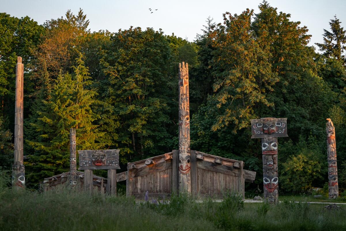 Museum of Anthropology