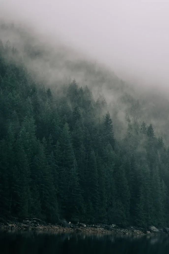Golden Ears Provincial Park