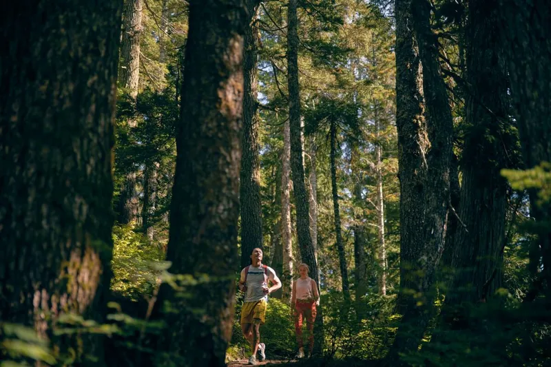 Black Mountain Loop