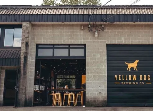 Yellow Dog Brewing
