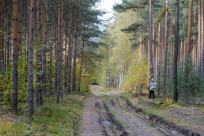 Hit the Trail