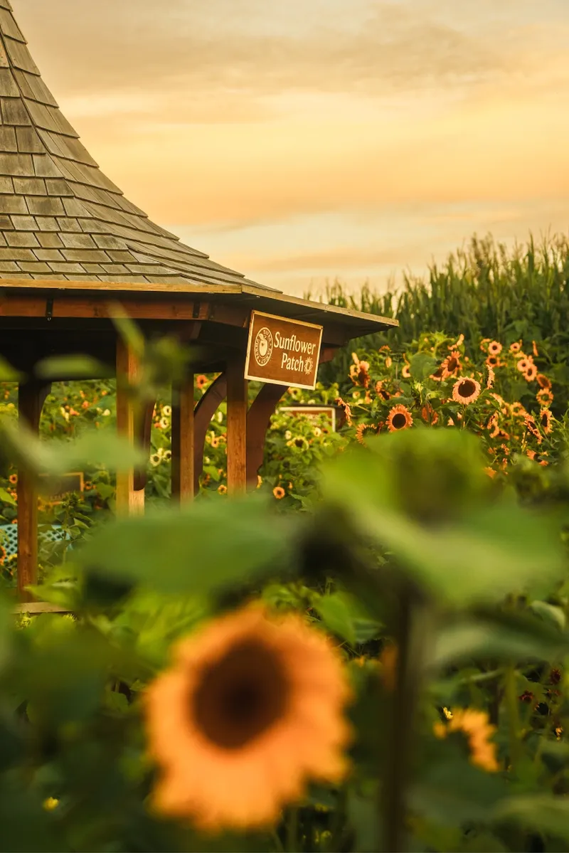 Taves Family Farms - Applebarn