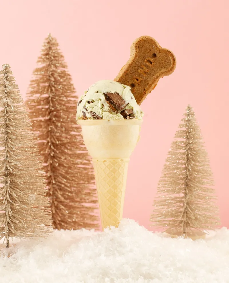 Rocky Point Ice Cream - Queens Park