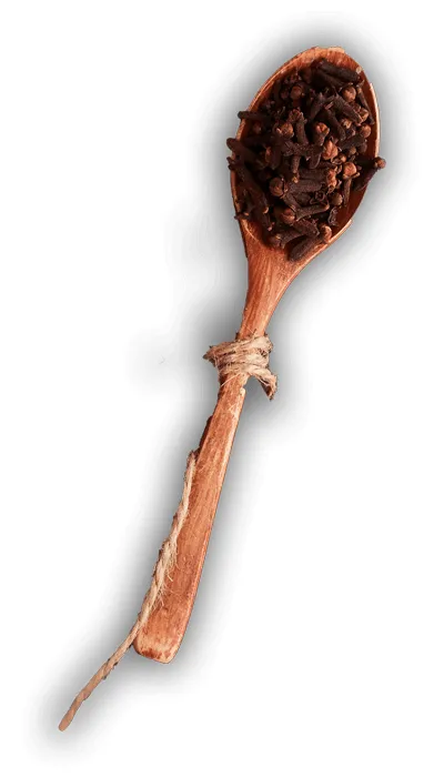 Delta Indian Cuisine