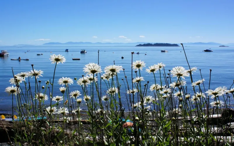 Horseshoe Bay