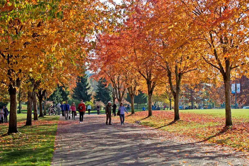 Town Centre Park