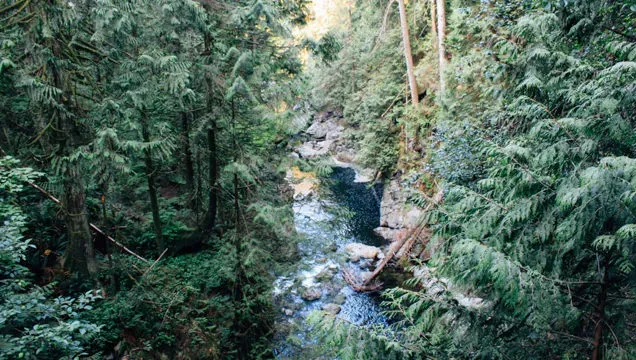 Baden Powell Trail - Lynn Canyon Section