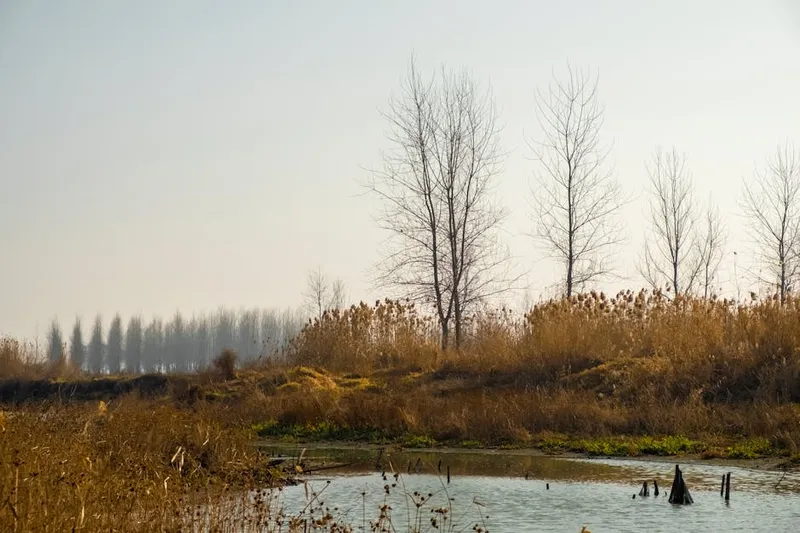 DeBoville Slough