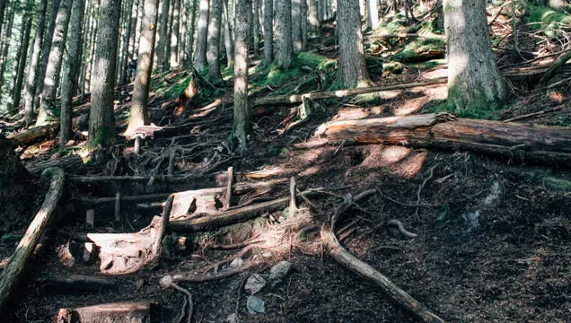 Grouse Grind