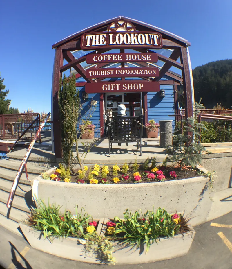 Lookout The Coffee House