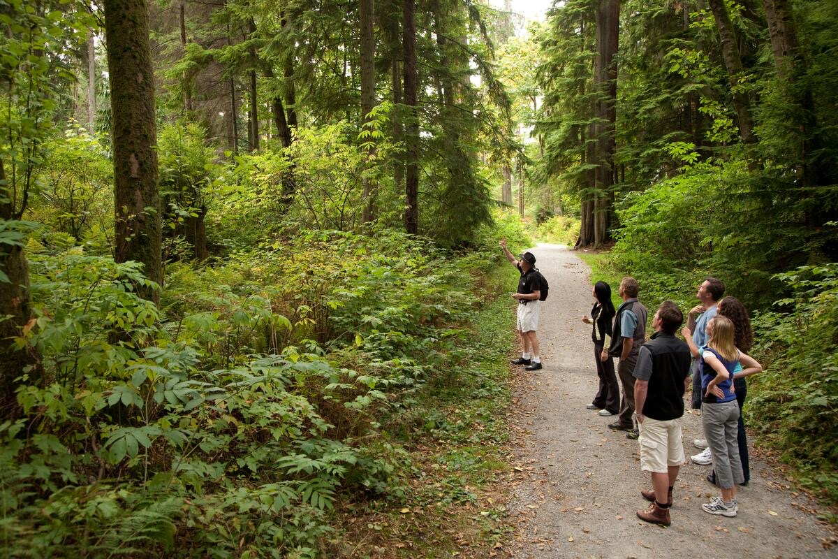 Stanley Park