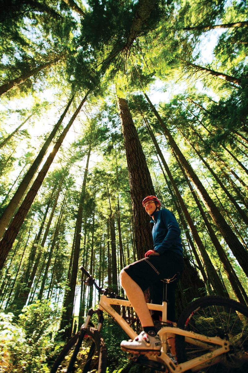 Stanley Park