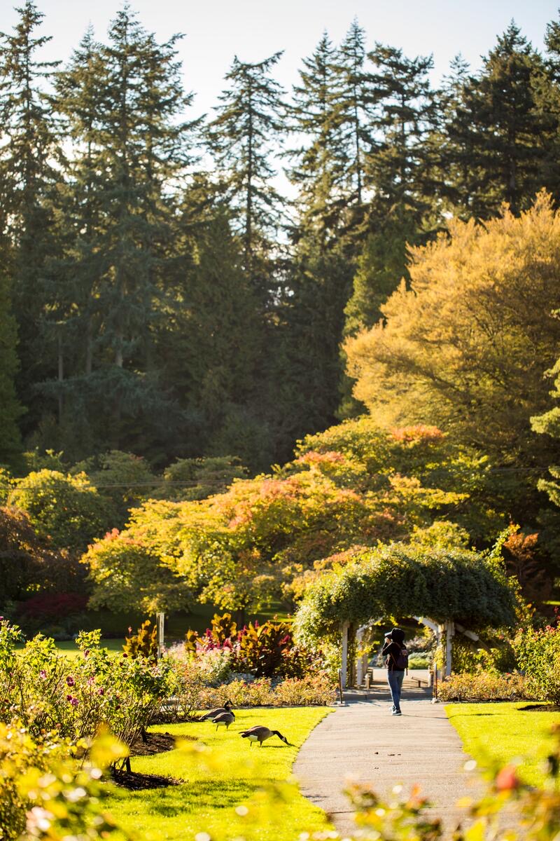 Stanley Park