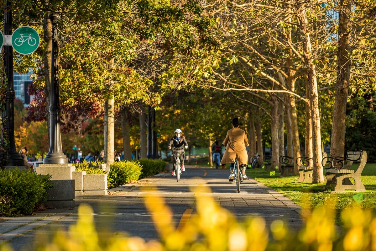 Stanley Park