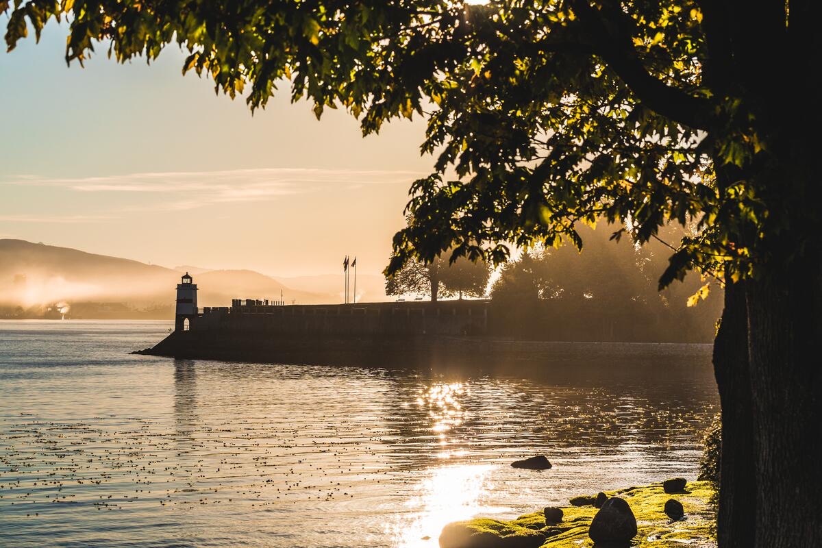 Stanley Park