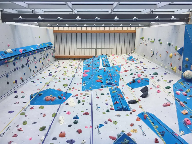 The Aviary Climbing Wall
