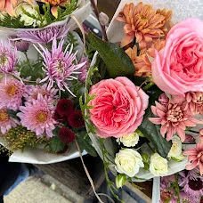forage & BLOOM