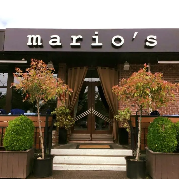 Mario's Kitchen