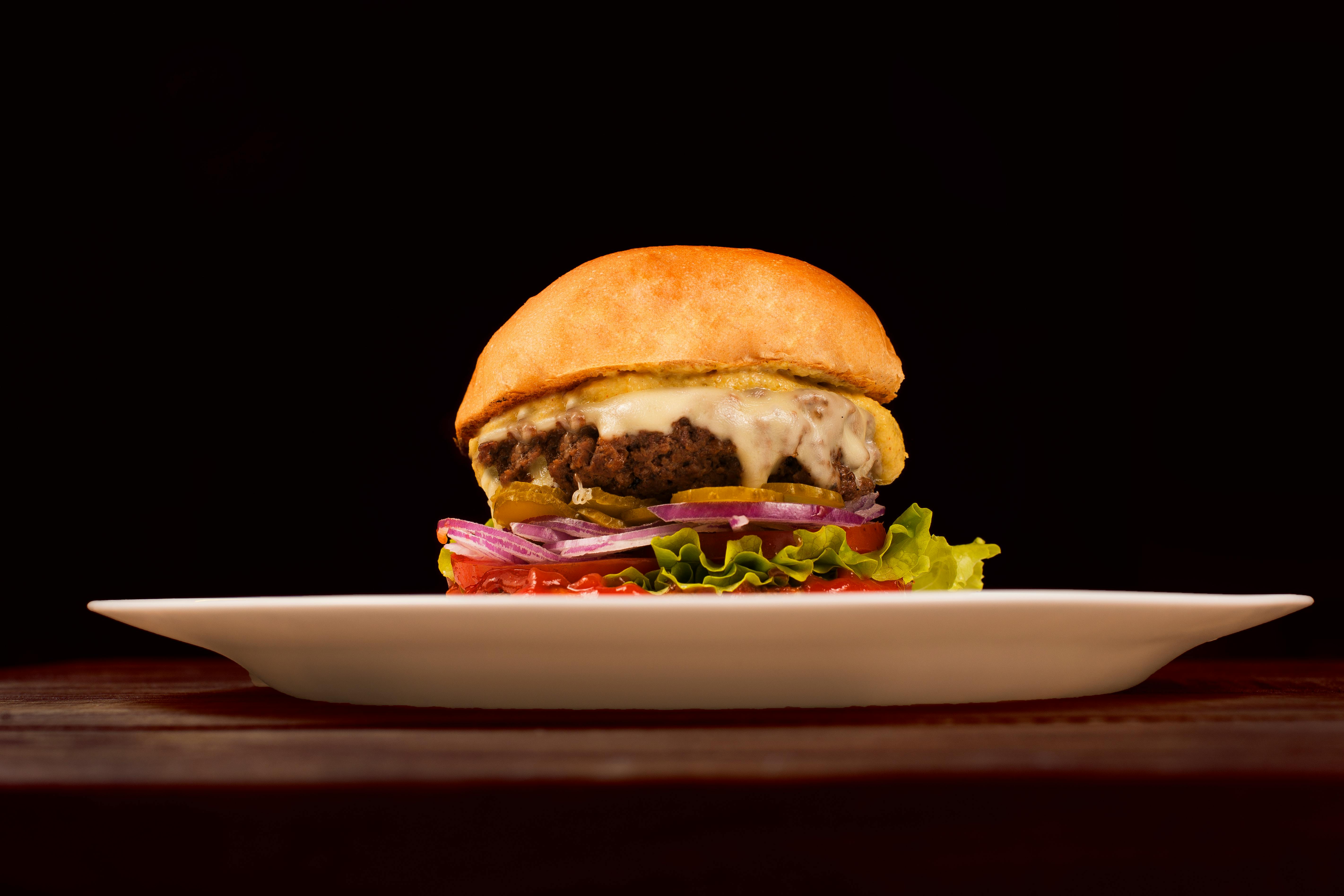 Mozza Burger