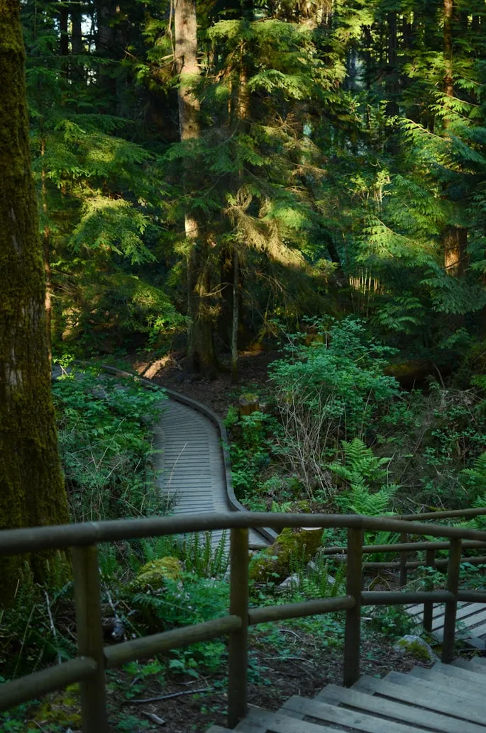 Pacific Spirit Regional Park