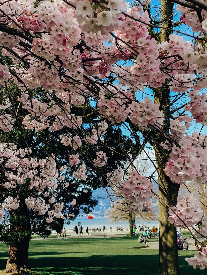 Kitsilano Beach