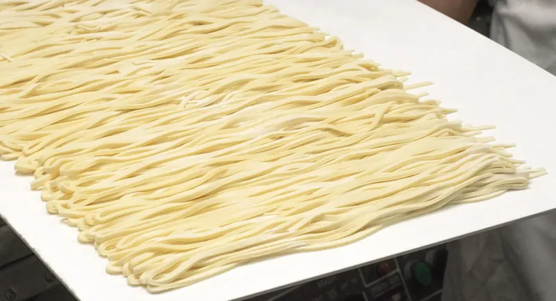 Motonobu Udon