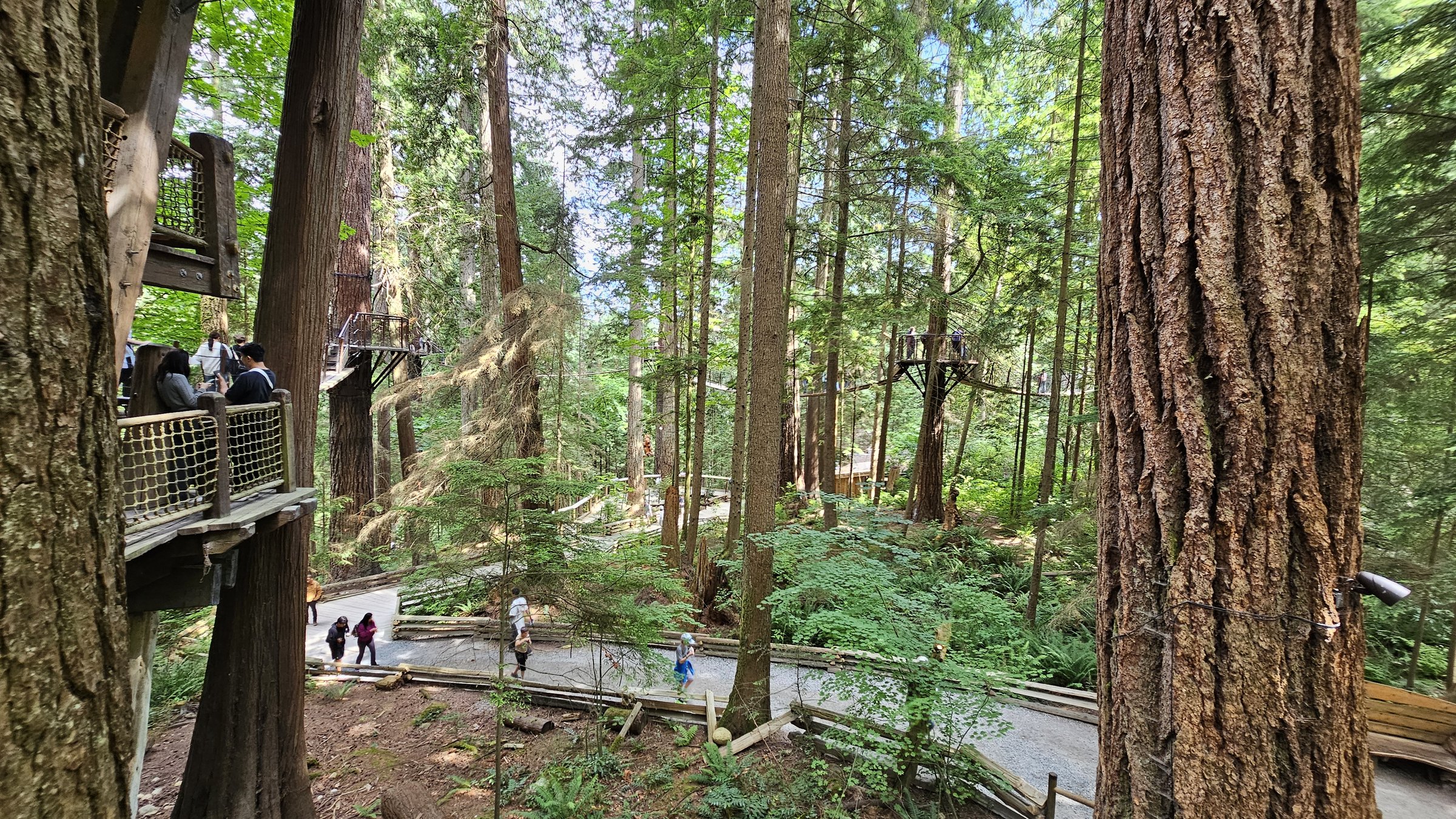 Capilano Suspension Bridge Park