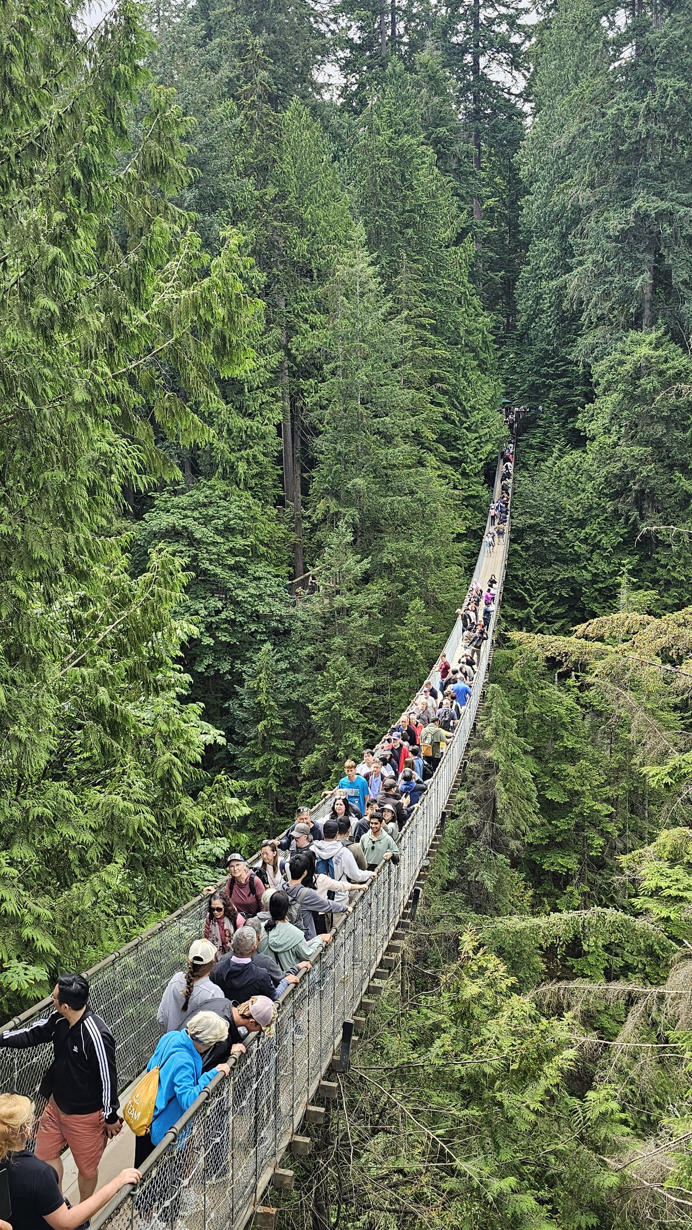 Capilano Suspension Bridge Park