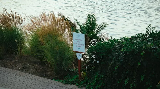 South Aldergrove Park