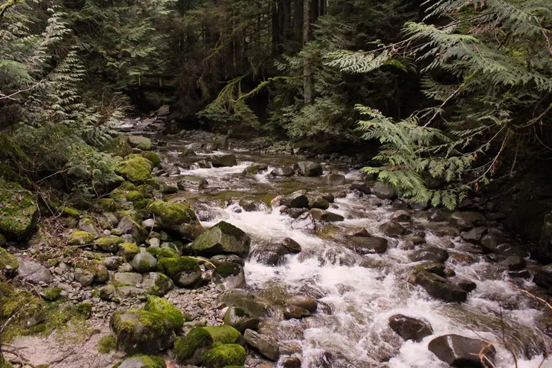 Cypress Falls Park