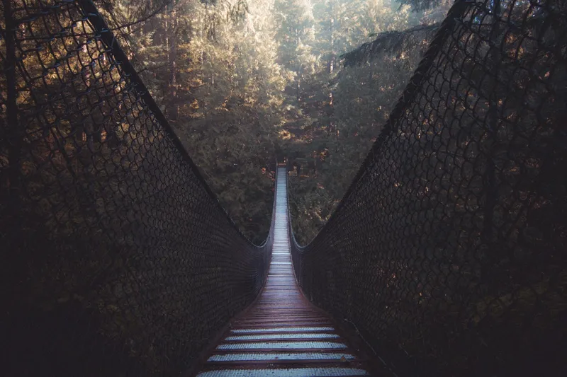 Canyon Lights at Capilano 2026
